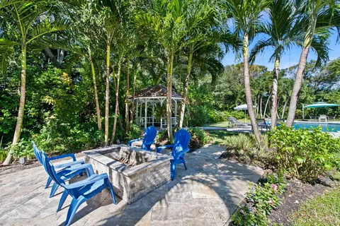 a view of a backyard with plants and a fountain