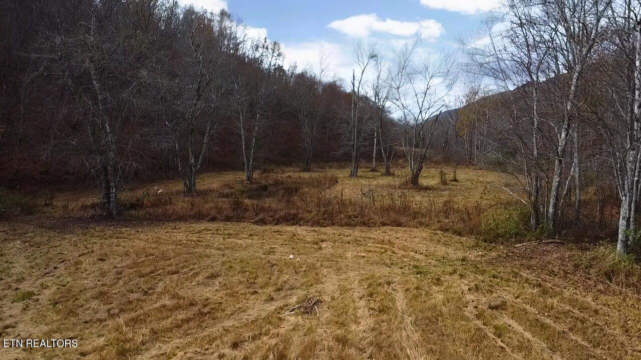 1693 Steve Brown Road Bean Station, TN 37708 - Photo 28 of 36 Field by Spring Fed Pond