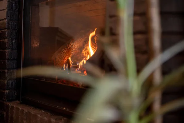 $950,000 | 56814 402nd Avenue, Mazeppa, MN 55956