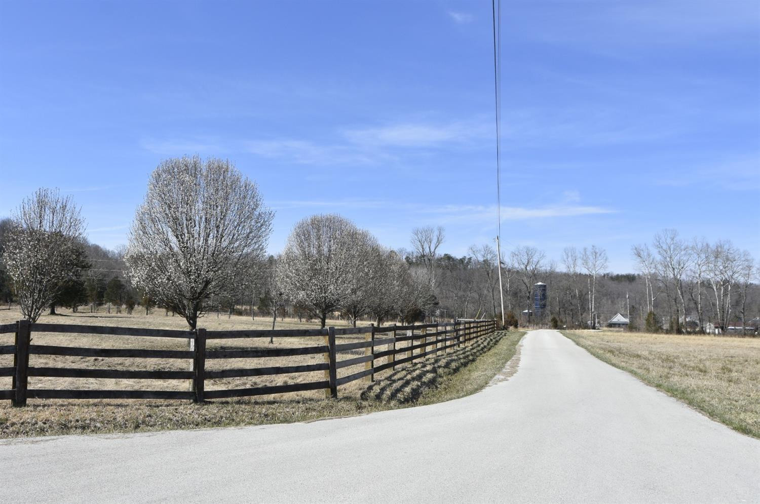 15 Quail Run Road Irvine, KY 40336 - Photo 5 of 7 Follow the trees to the cul-de-sac! This