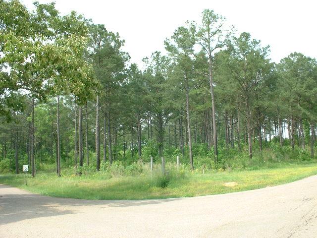 300 Edgil Road Jasper, AL 35503 - Photo 1 of 1 Gallery Image 1