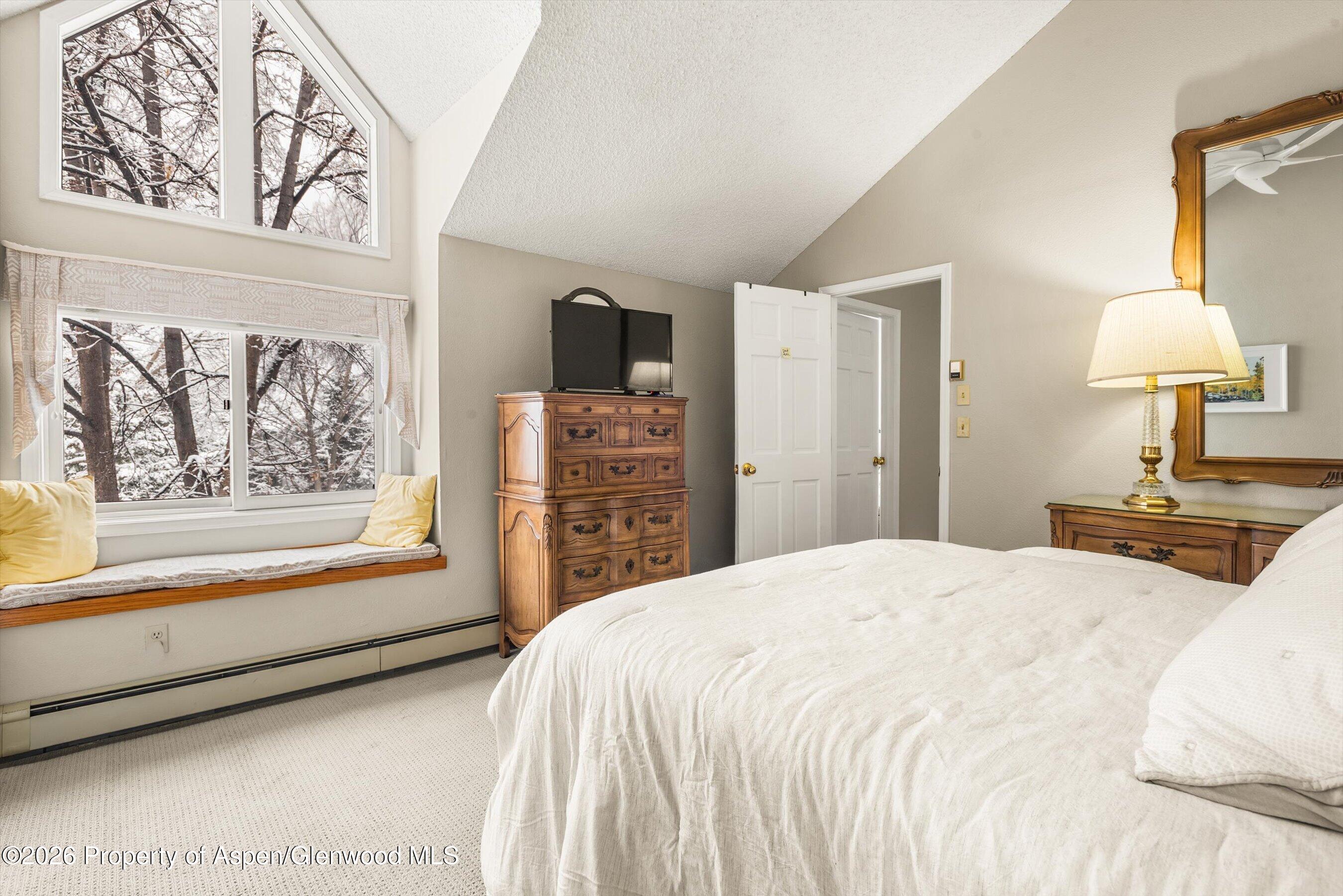 501 Wren Court Basalt, CO 81621 - Photo 14 of 25 primary bedroom views