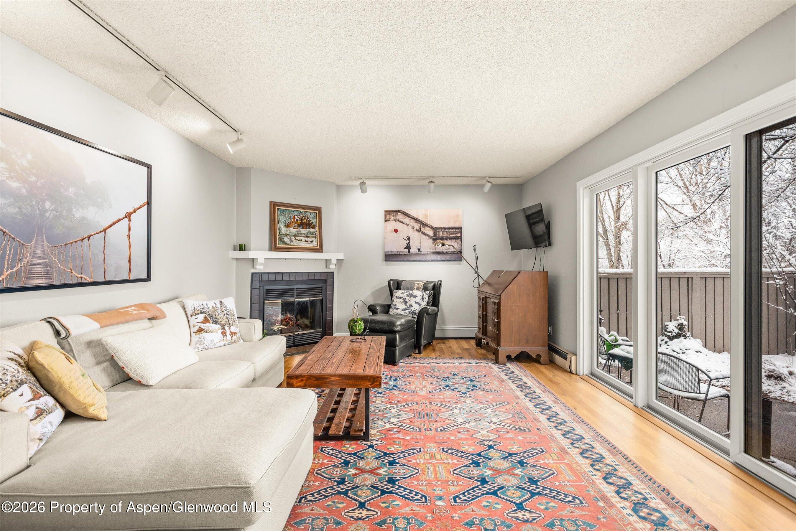 501 Wren Court Basalt, CO 81621 - Photo 2 of 25 living room