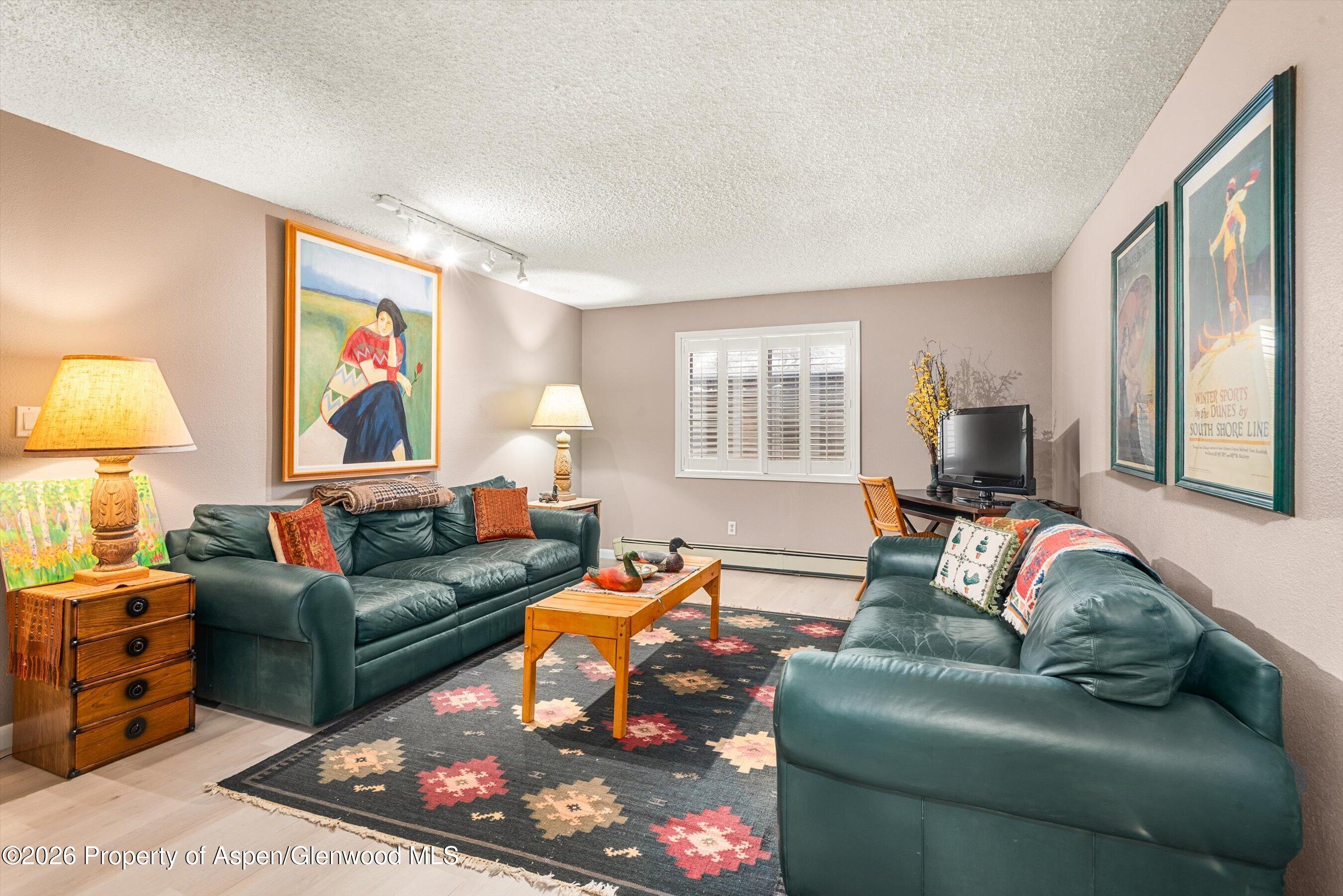 501 Wren Court Basalt, CO 81621 - Photo 22 of 25 lower level family room