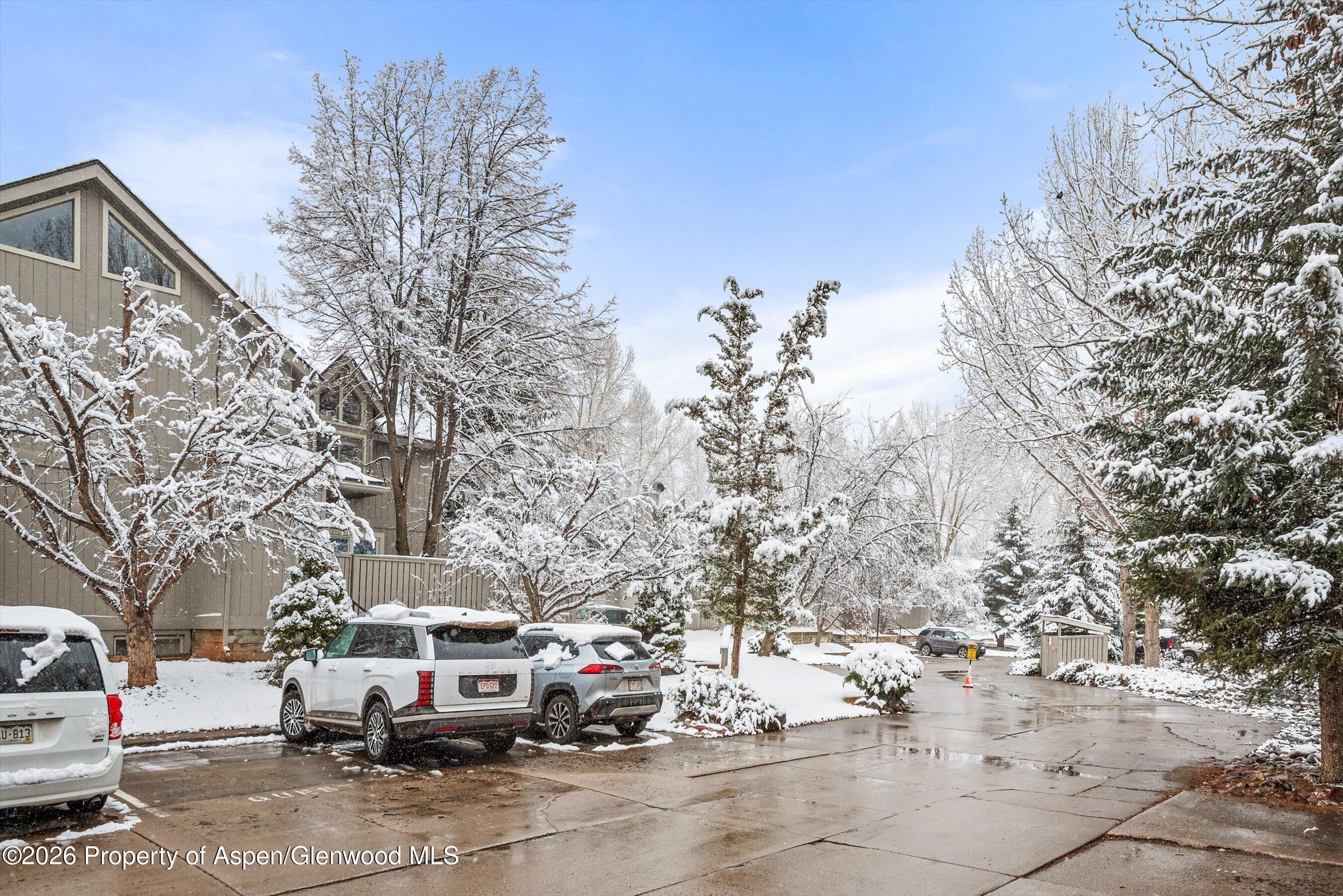501 Wren Court Basalt, CO 81621 - Photo 25 of 25 ample guest parking