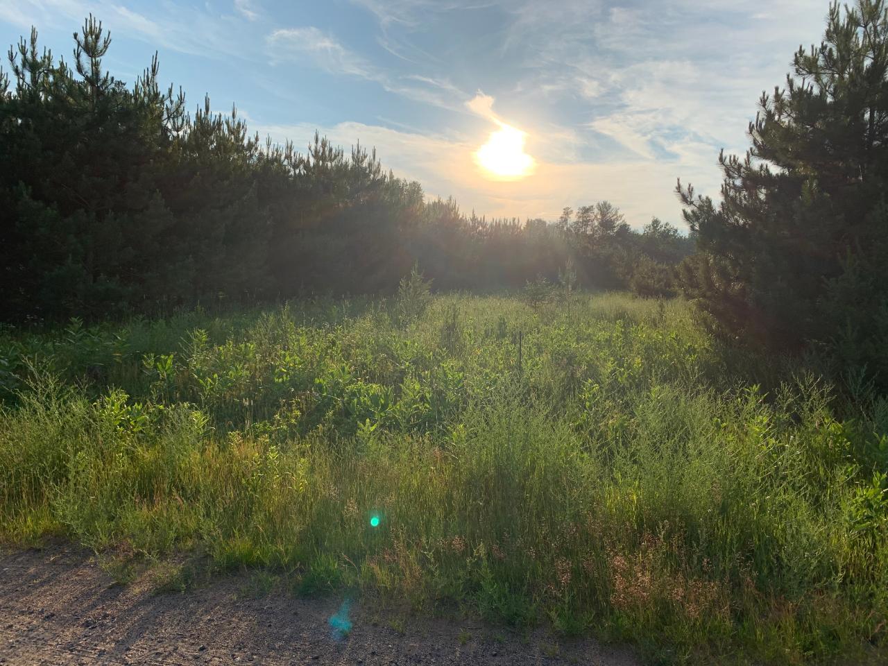 On Bunting Lane, Unit LOT 18 Rhinelander, WI 54501 - Photo 11 of 16 Gallery Image 11