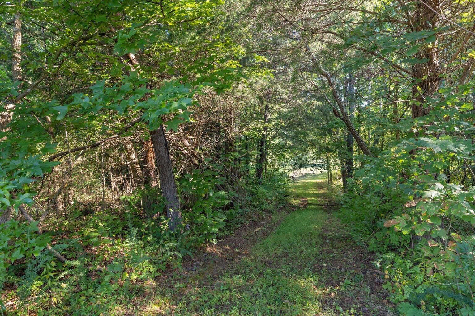 9999 Sunrise Valley Road, Unit TRACT 2 Irvine, KY 40336 - Photo 11 of 33 WW 11