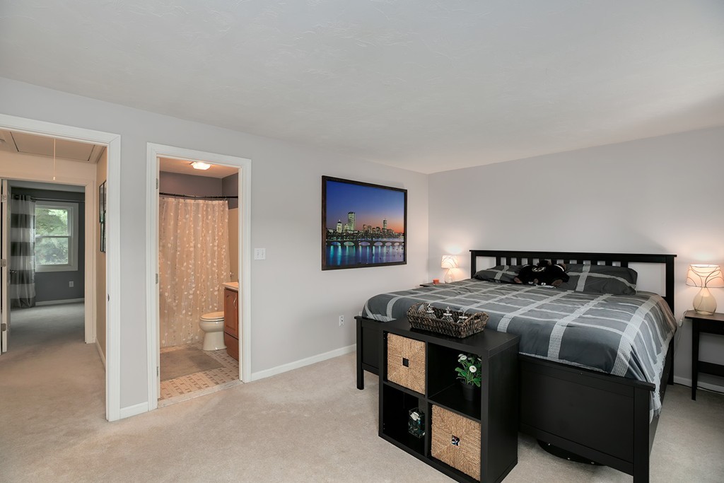 705 Irving Road, Unit 705 Randolph, MA 02368 - Photo 17 of 25 Gallery Image 17