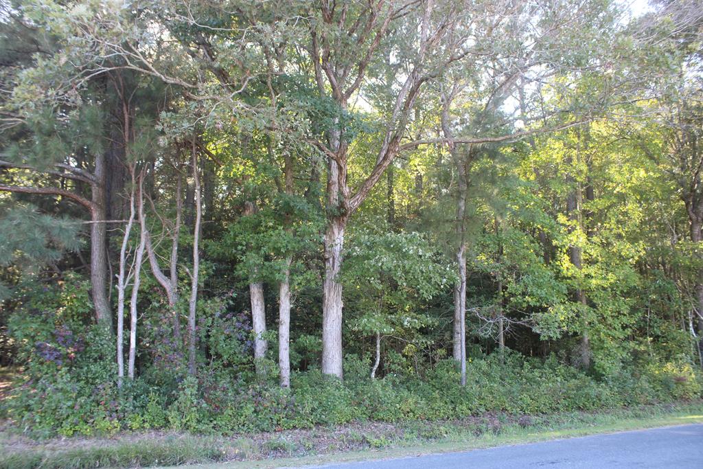 Lot 130 Matthews Road, Unit 130 Parksley, VA 23421 - Photo 12 of 15