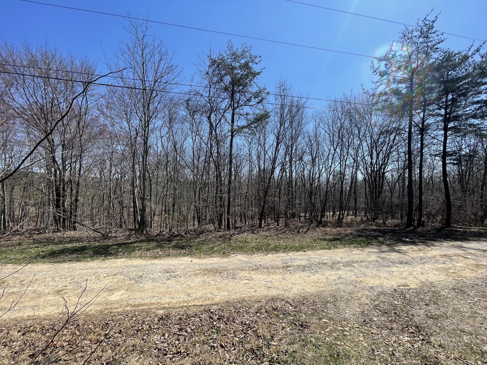 1 Porch Rock Road Pikeville, TN 37367 - Photo 15 of 19 Gallery Image 15