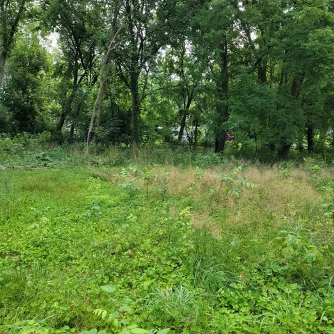 a view of outdoor space and green space