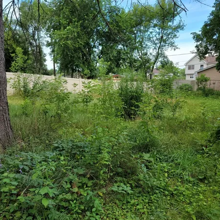 a view of a lush green space