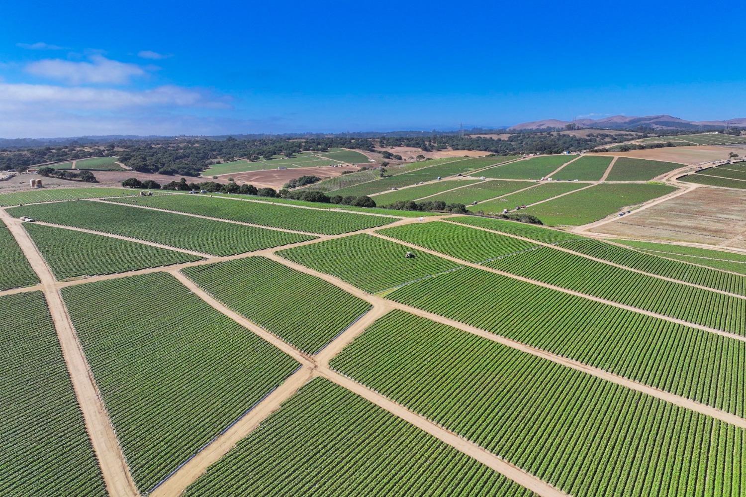 0 San Juan Grade Road Salinas, CA 93907 - Photo 15 of 24 a view of an outdoor space and tennis court