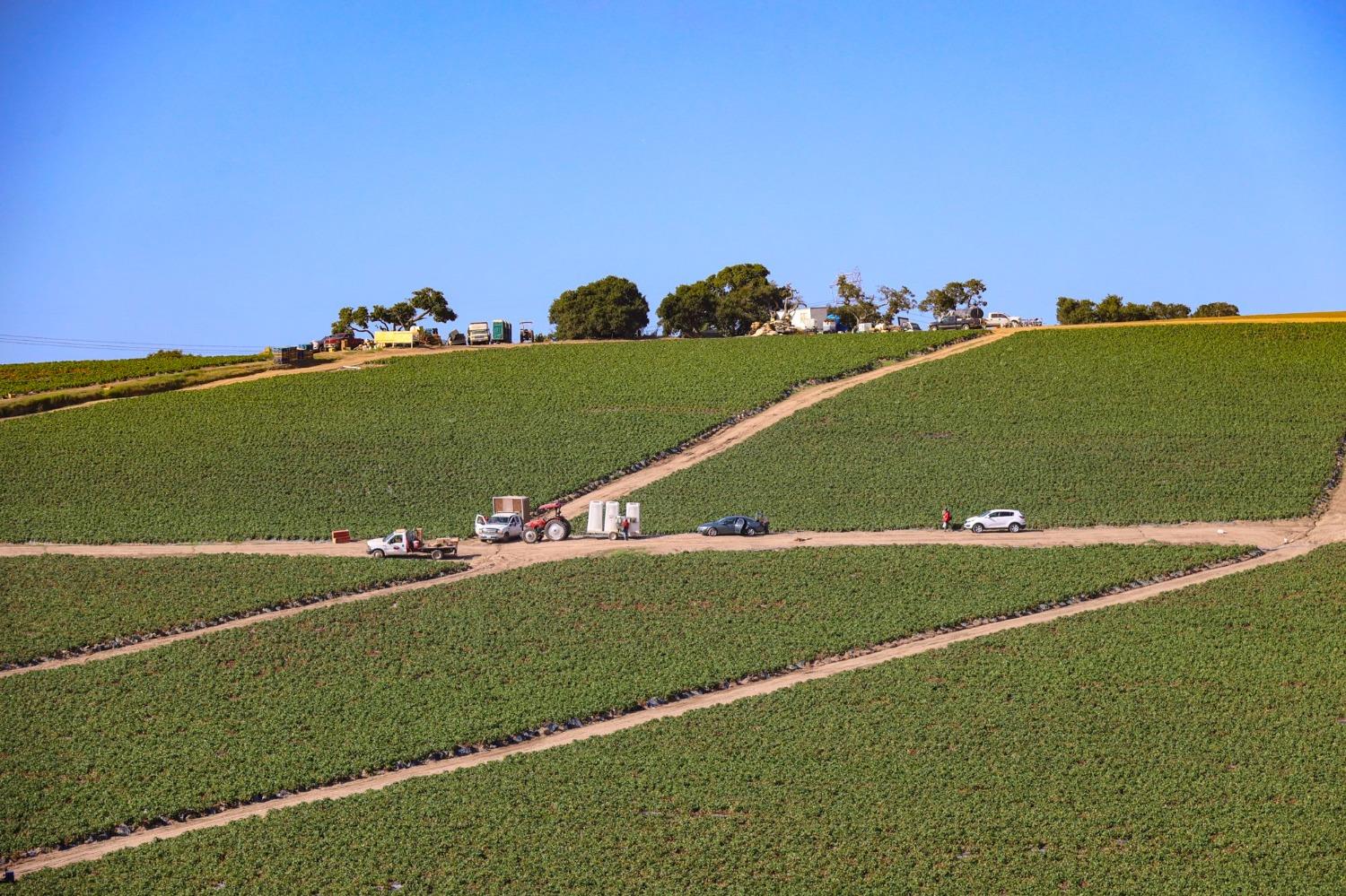 0 San Juan Grade Road Salinas, CA 93907 - Photo 17 of 24 a view of a green field