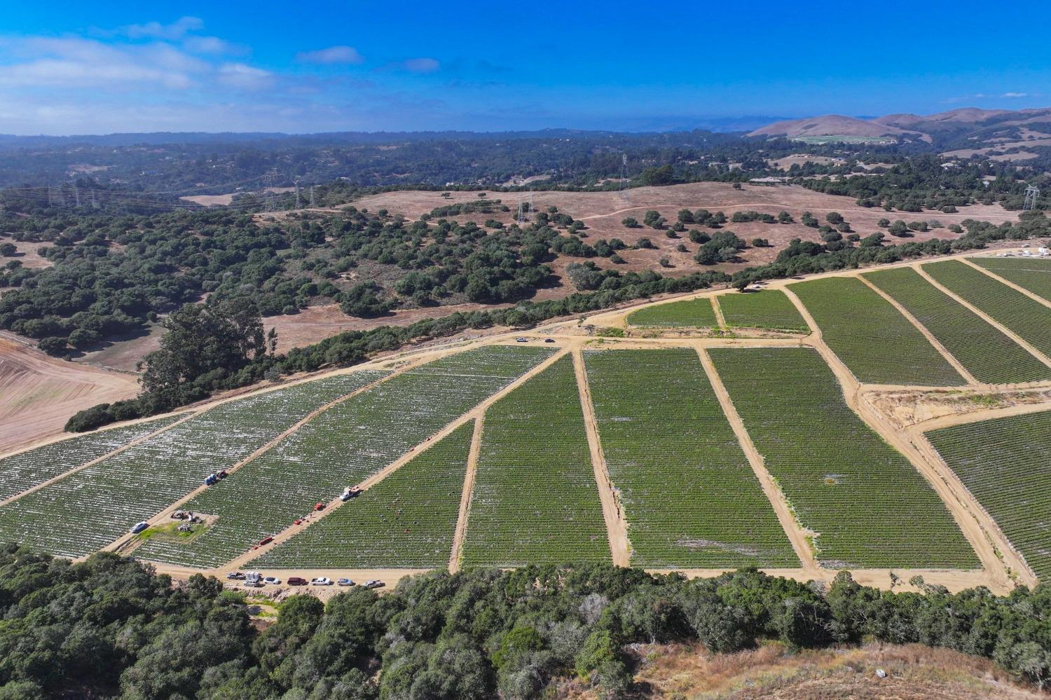 0 San Juan Grade Road Salinas, CA 93907 - Photo 21 of 24 a view of a tennis court