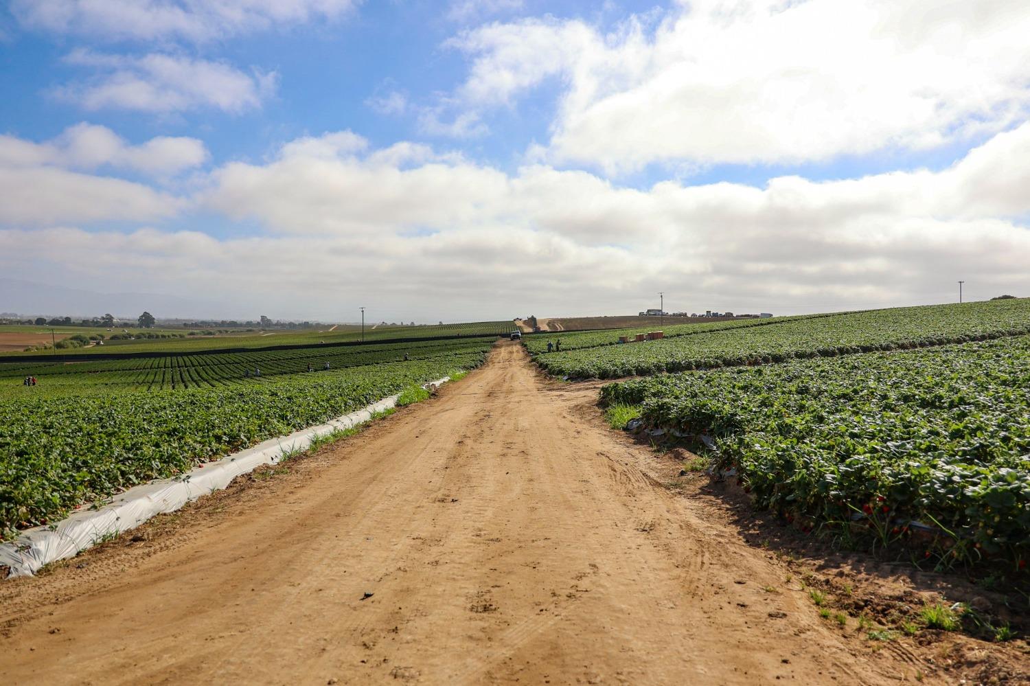 0 San Juan Grade Road Salinas, CA 93907 - Photo 22 of 24 a view of a lake with a big yard