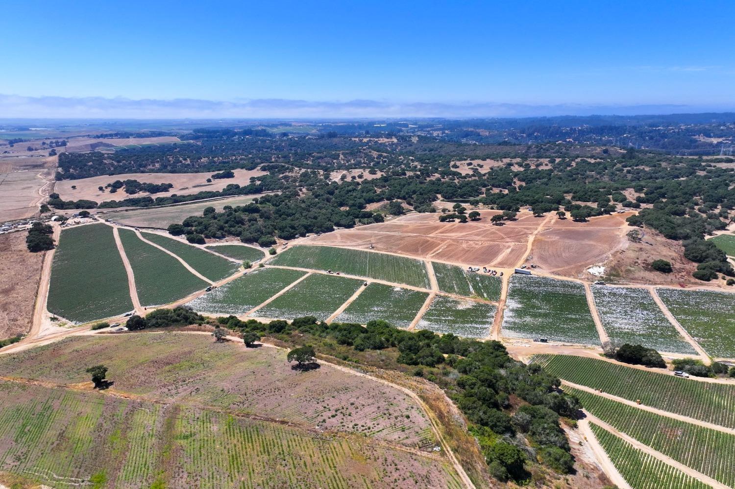 0 San Juan Grade Road Salinas, CA 93907 - Photo 9 of 24 a view of a tennis court