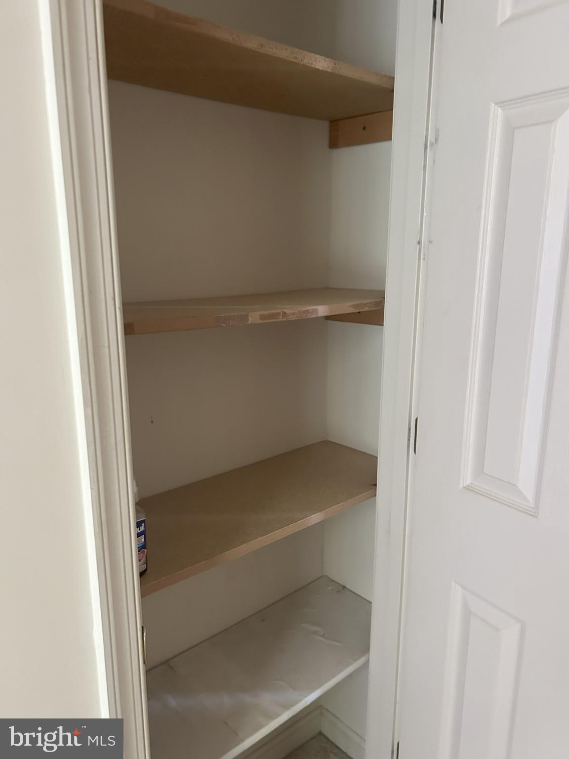 111 Janwall Street Annapolis, MD 21403 - Photo 32 of 32 a view of walk in closet with empty racks