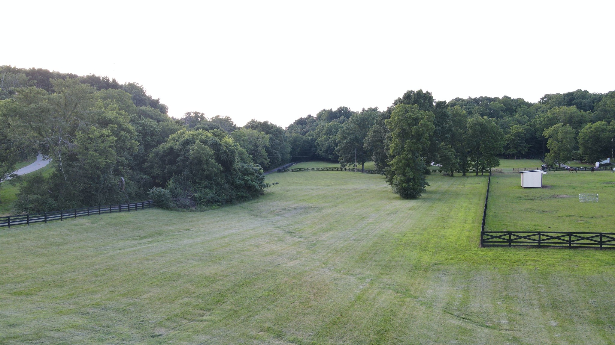 6502 Peytonsville-Arno Road College Grove, TN 37046 - Photo 75 of 81