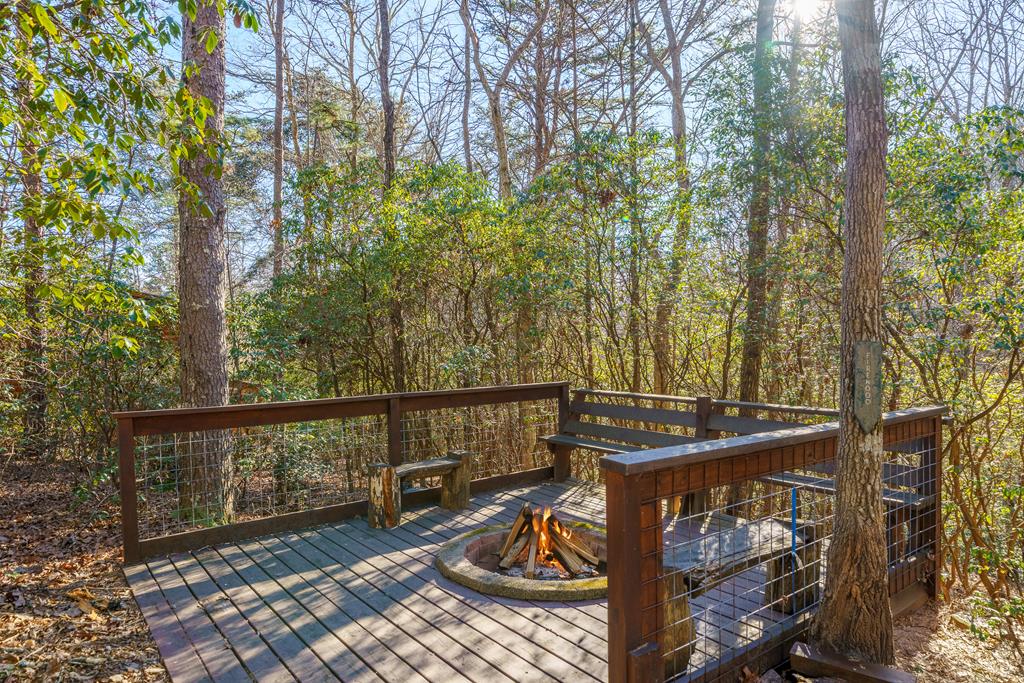 229 Ringtail Run Murphy, NC 28906 - Photo 63 of 68 Gallery Image 63