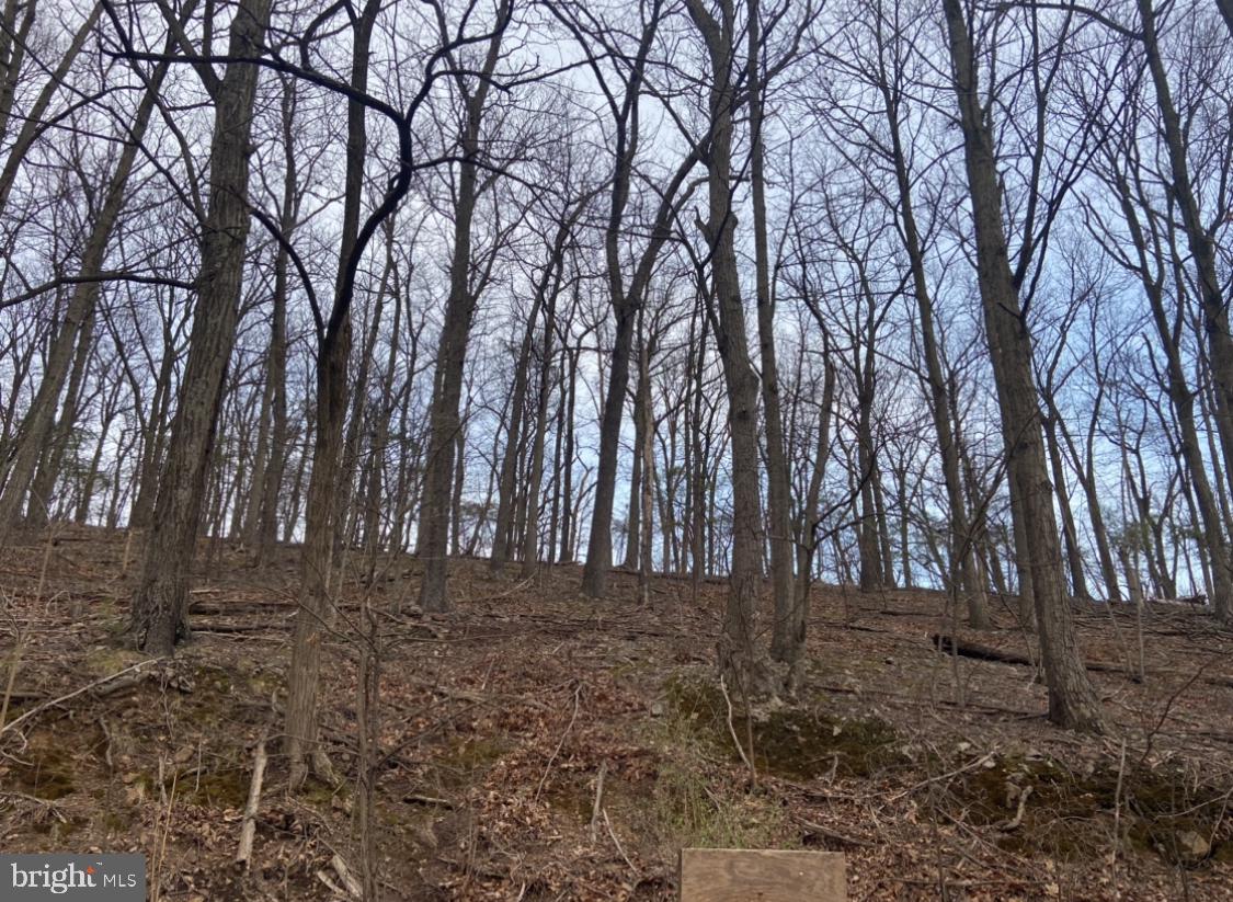 11837 Orebank Road Clear Spring, MD 21722 - Photo 4 of 5