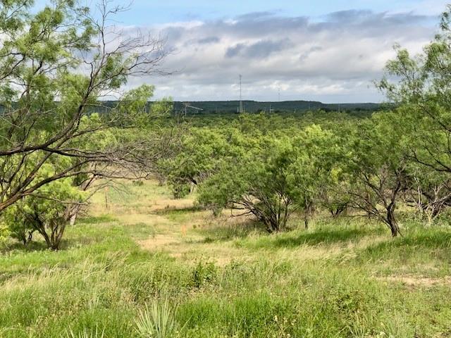 172 Fm 601 Albany, TX 76430 - Photo 3 of 8 a view of a yard and an trees