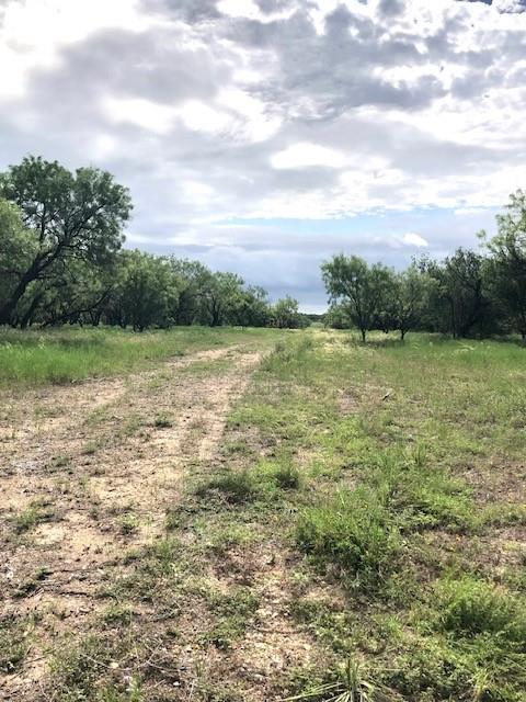172 Fm 601 Albany, TX 76430 - Photo 4 of 8 a view of a field with an ocean