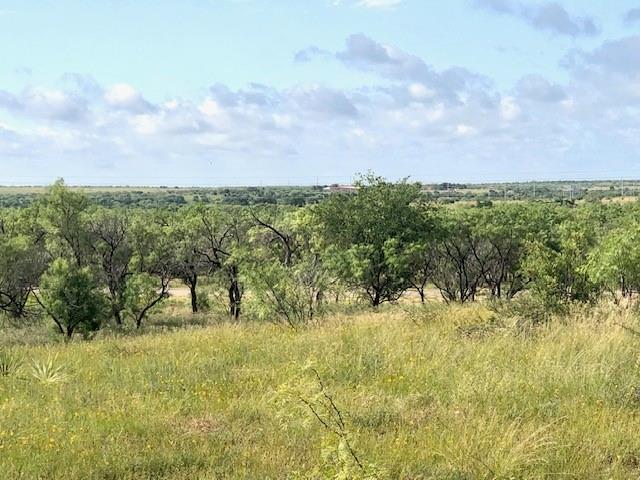 172 Fm 601 Albany, TX 76430 - Photo 6 of 8 a view of a bunch of trees and bushes