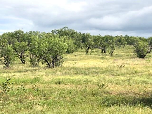 172 Fm 601 Albany, TX 76430 - Photo 7 of 8 a view of an ocean view