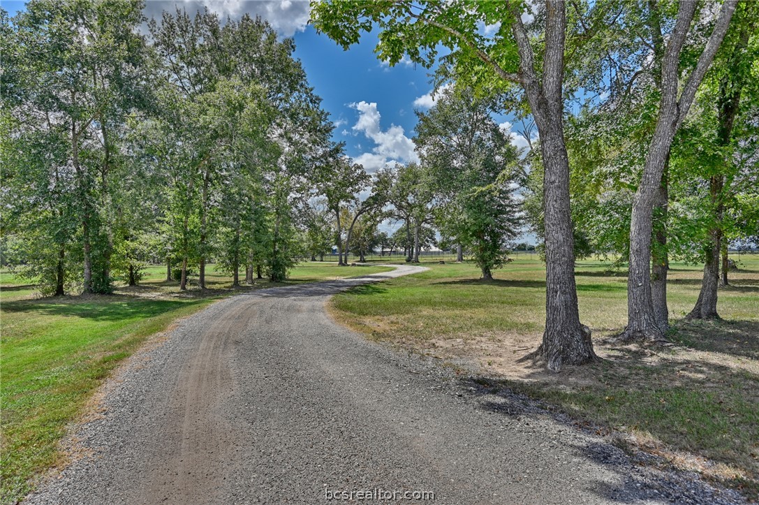 36394 Fm 1736 Hempstead, TX 77445 - Photo 46 of 48