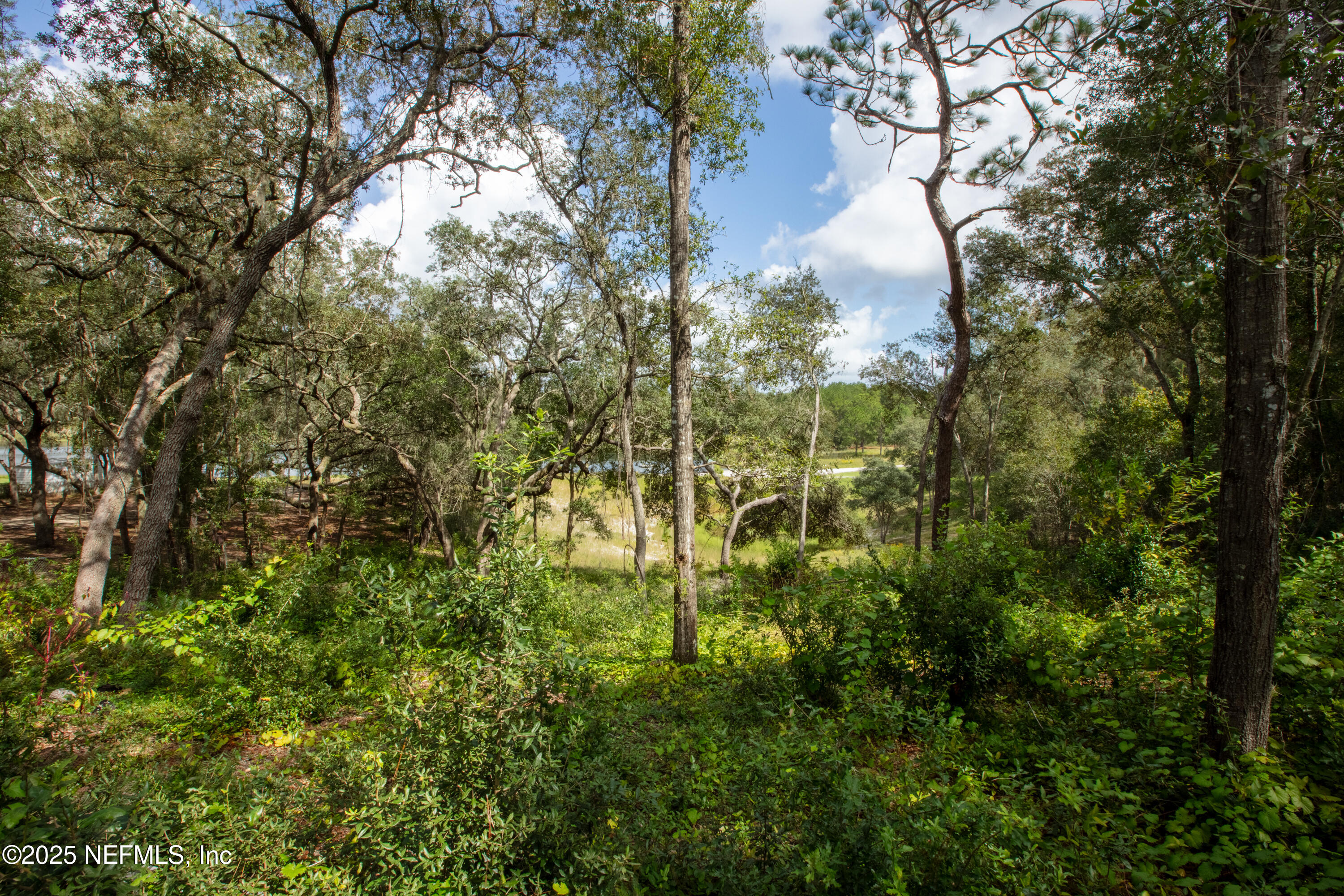 6956 Deer Springs Road Keystone Heights, FL 32656 - Photo 3 of 10 a view of a yard with plants