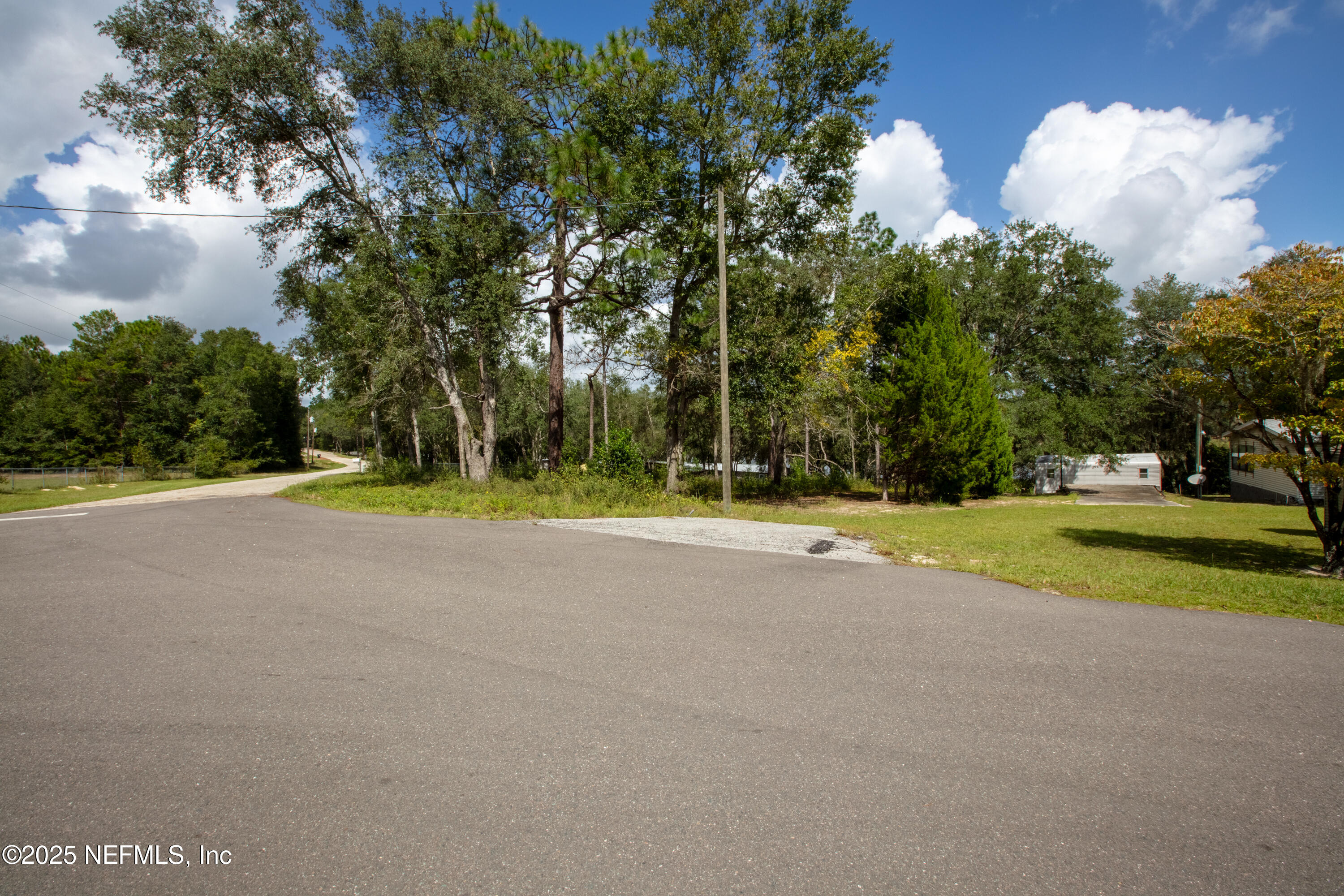 6956 Deer Springs Road Keystone Heights, FL 32656 - Photo 6 of 10 a view of outdoor space yard and swimming pool