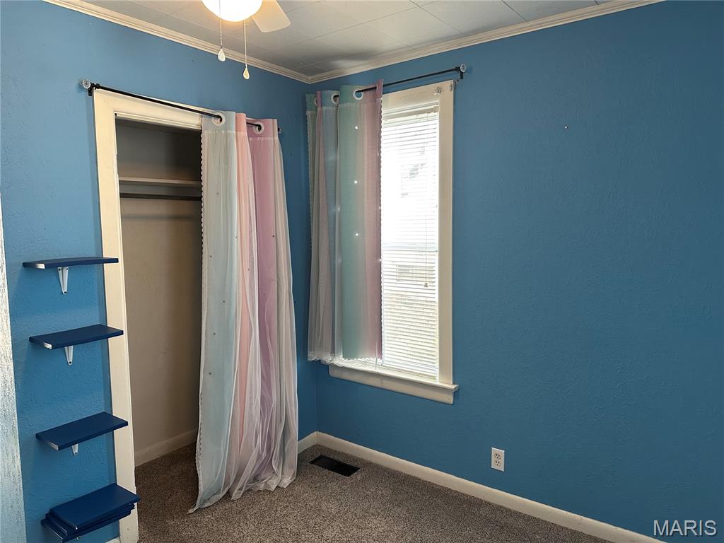 505 East Main Street Steeleville, IL 62288 - Photo 13 of 24