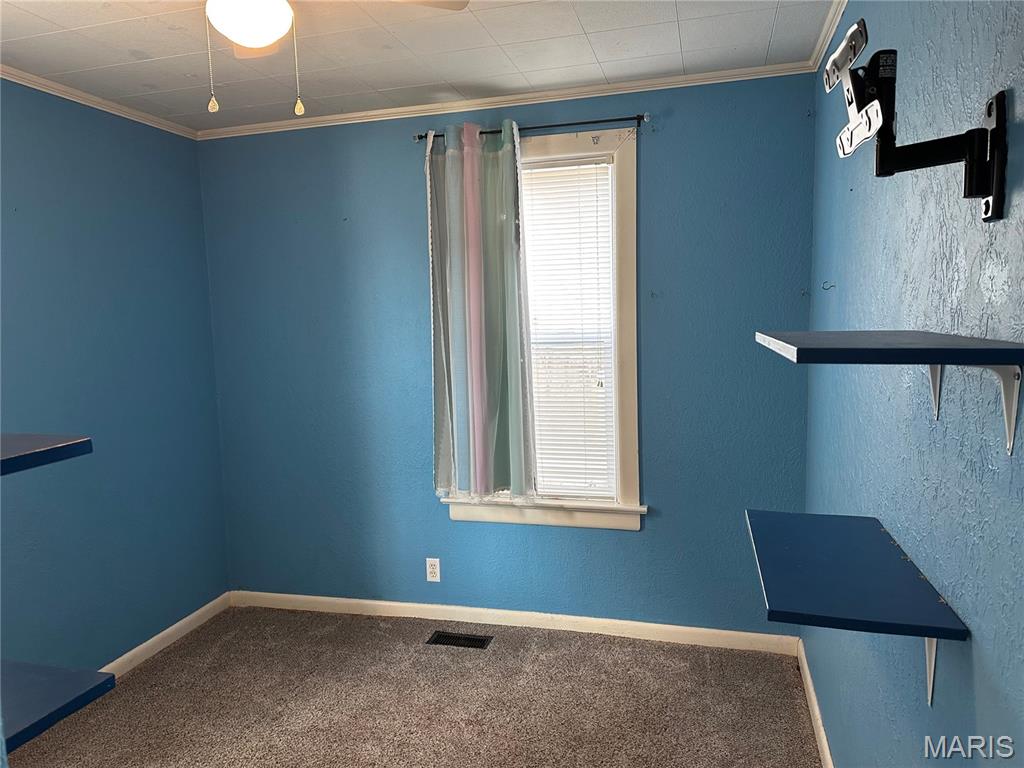 505 East Main Street Steeleville, IL 62288 - Photo 14 of 24