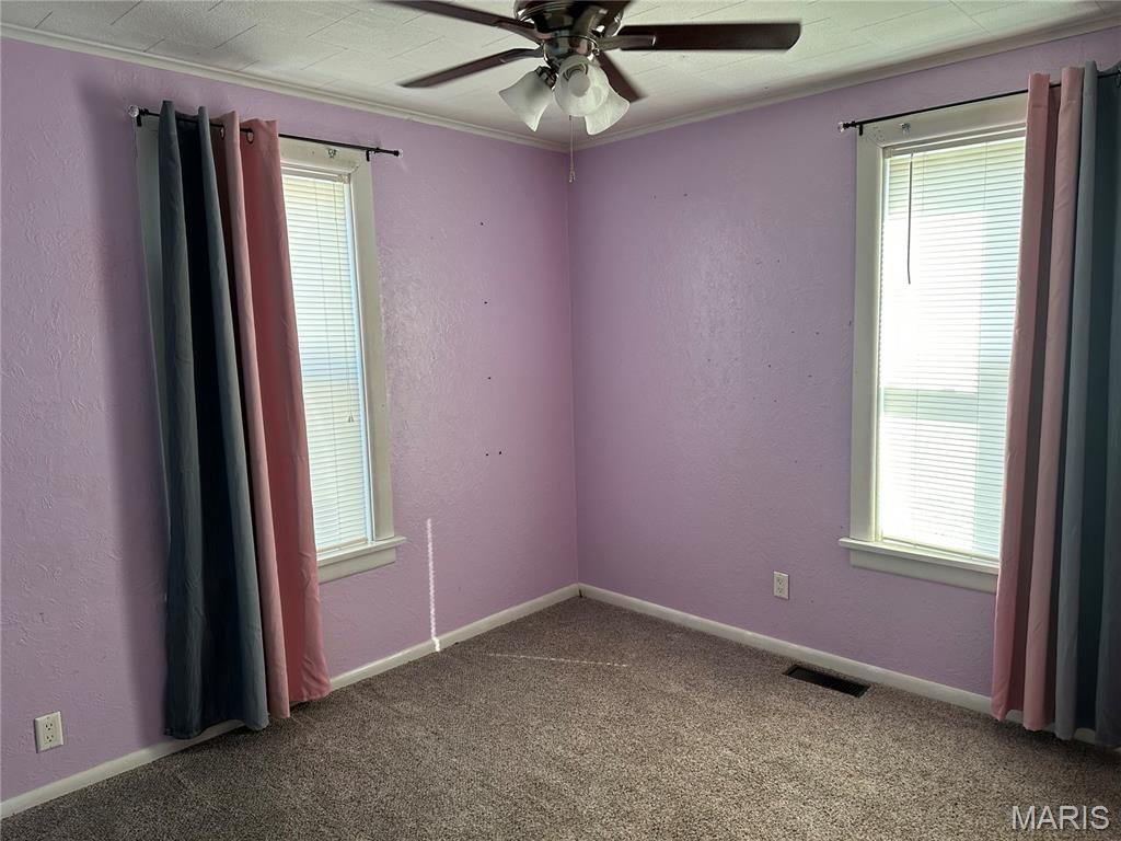 505 East Main Street Steeleville, IL 62288 - Photo 15 of 24