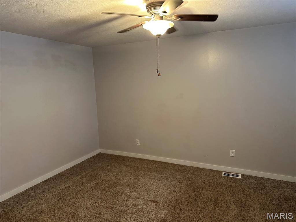 505 East Main Street Steeleville, IL 62288 - Photo 17 of 24