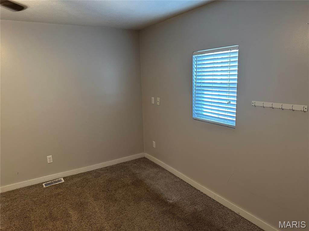 505 East Main Street Steeleville, IL 62288 - Photo 18 of 24