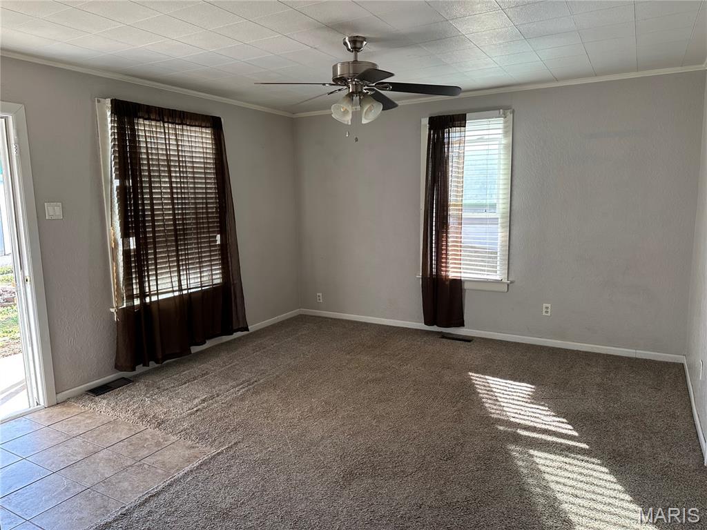 505 East Main Street Steeleville, IL 62288 - Photo 7 of 24