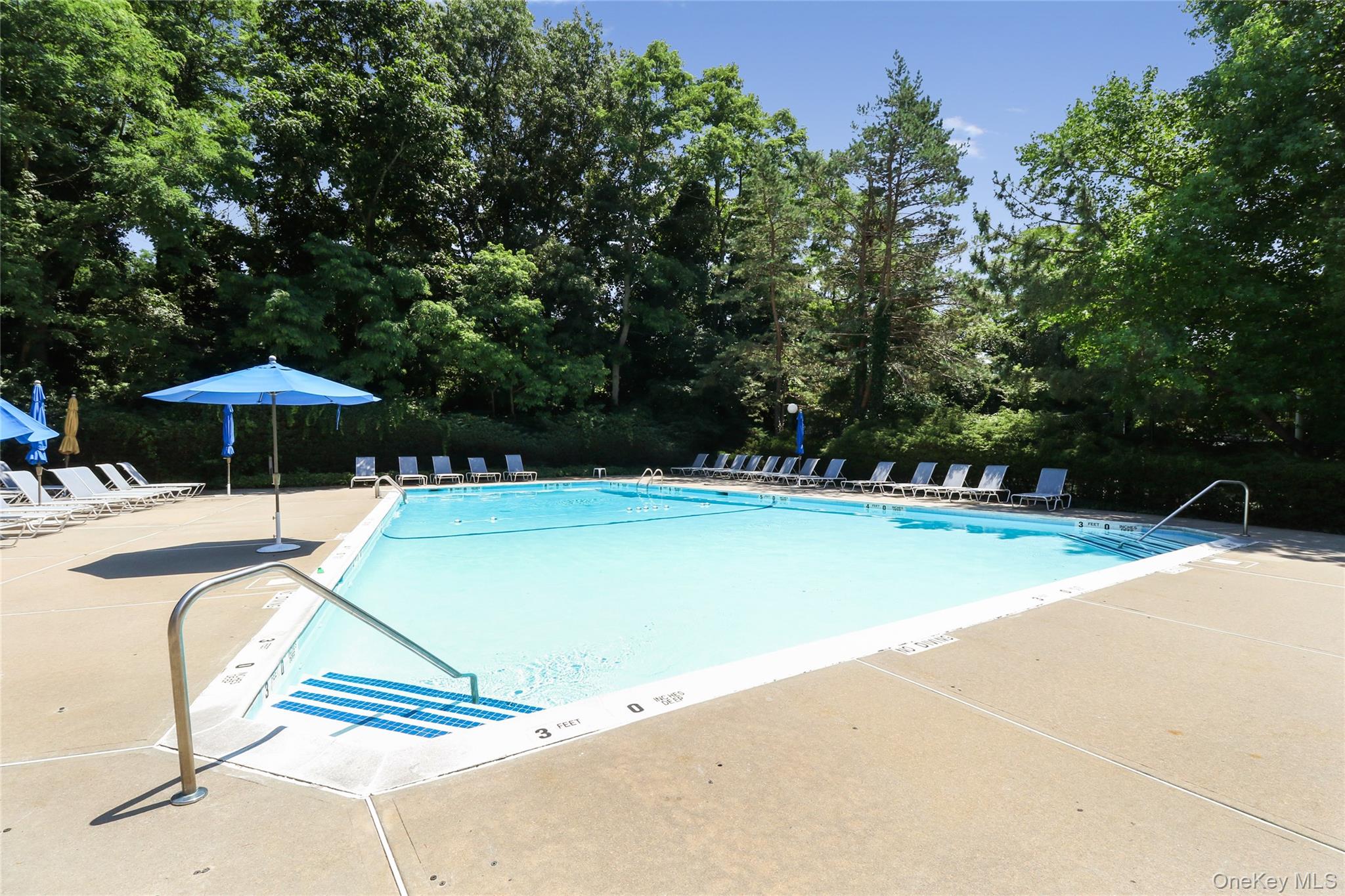 44 Hidden Ridge Drive Syosset, NY 11791 - Photo 22 of 28 a view of swimming pool with table and chairs under an umbrella