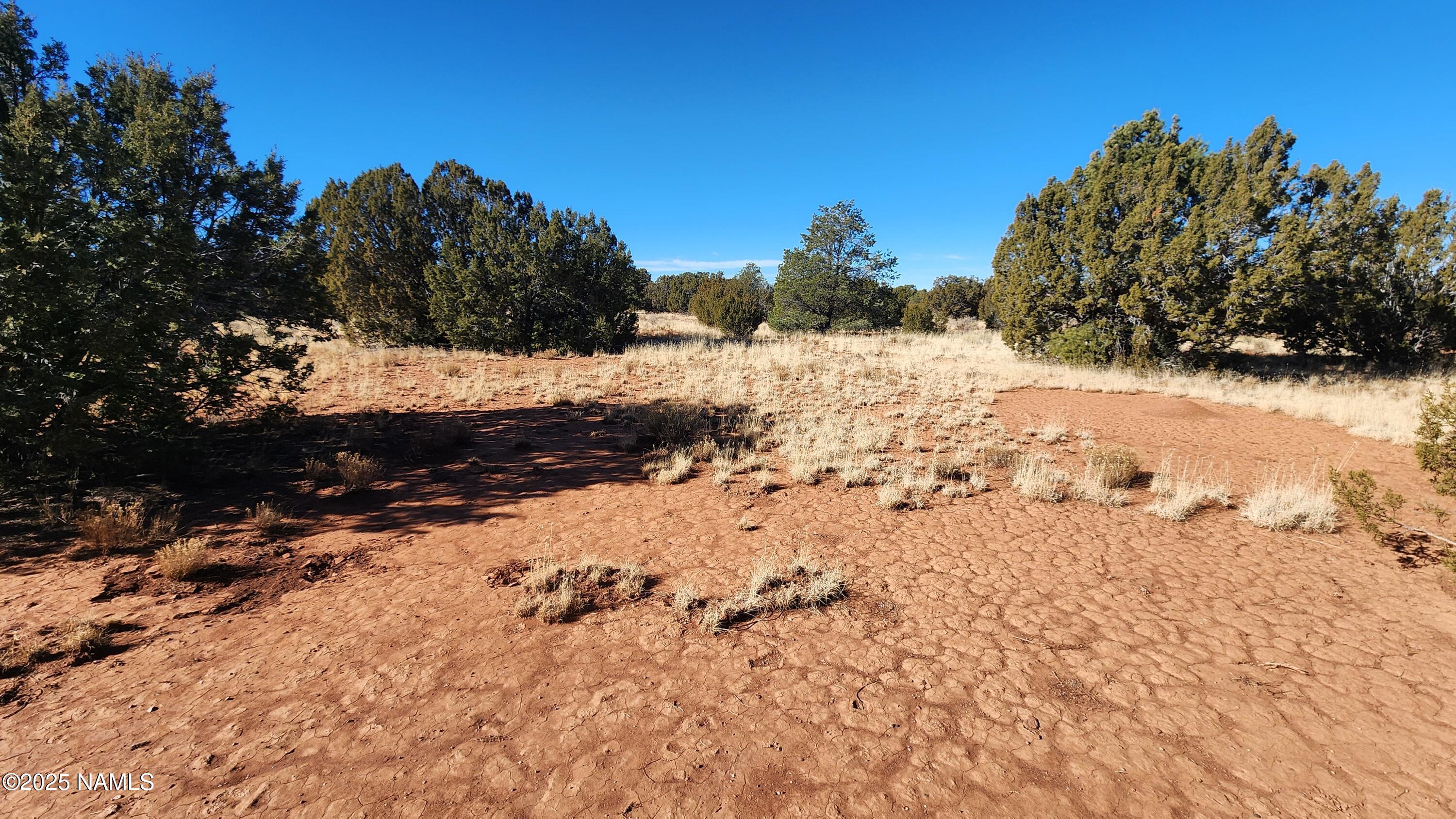 3372 East Valencia Road Williams, AZ 86046 - Photo 20 of 34 1000023813