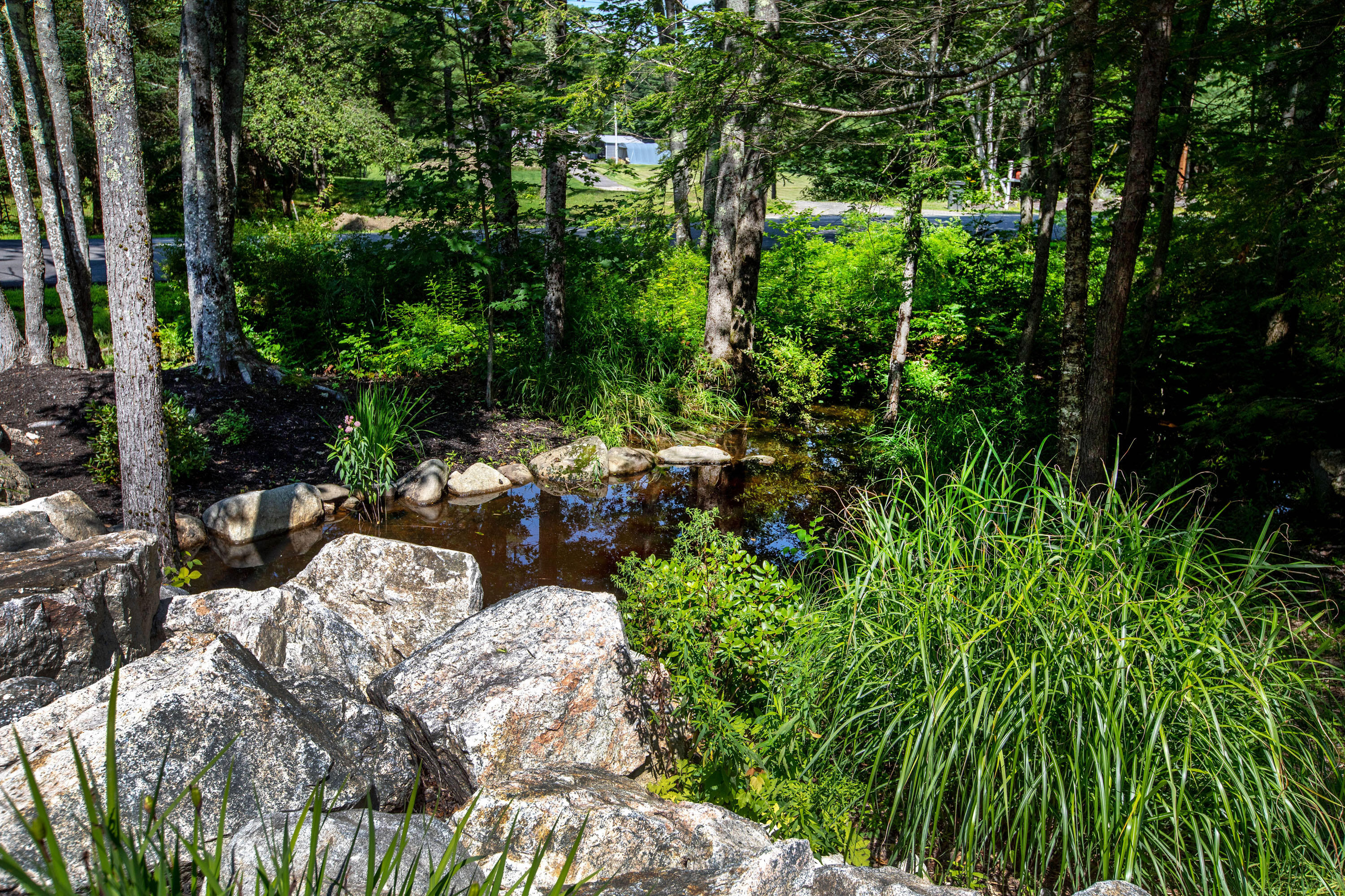 179 Dana Mill Road Woolwich, ME 04579 - Photo 55 of 58 Dana Mills_DeCosta_72