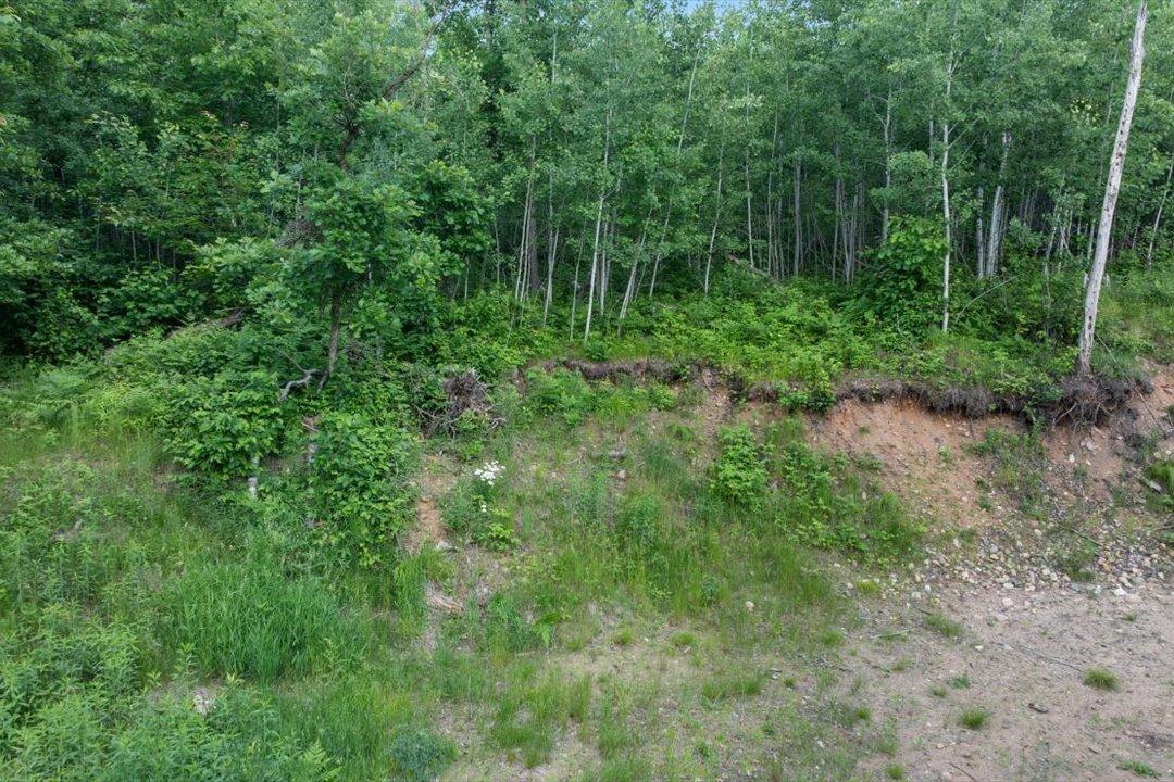 Tbd Mitchell Road Nisswa, MN 56468 - Photo 10 of 22