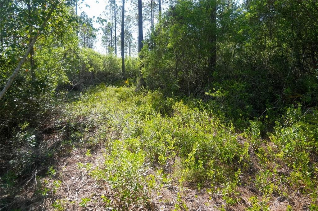 5015 Wood Duck Branch Road Blackshear, GA 31516 - Photo 4 of 12