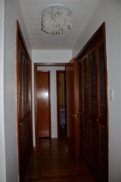 404 Alleen Road Knoxville, TN 37920 - Photo 30 of 36 Hallway closets