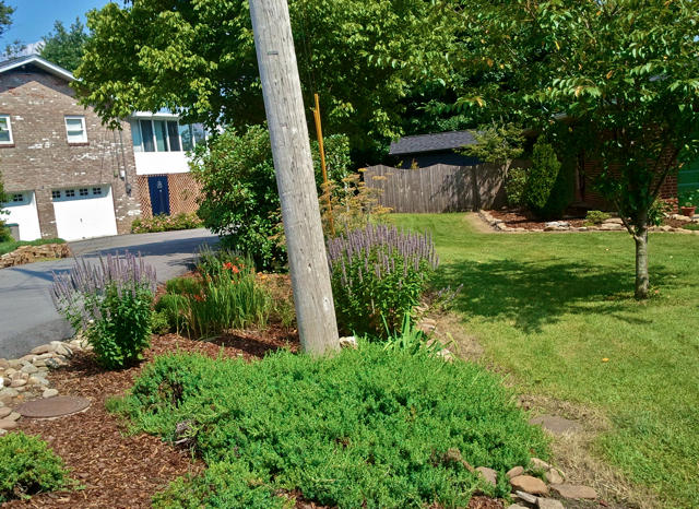 404 Alleen Road Knoxville, TN 37920 - Photo 34 of 36 Left front side_view of left neighbor
