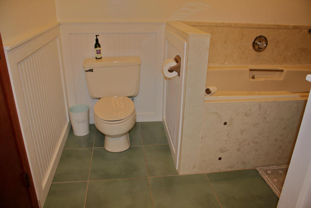 404 Alleen Road Knoxville, TN 37920 - Photo 10 of 36 Master bathroom