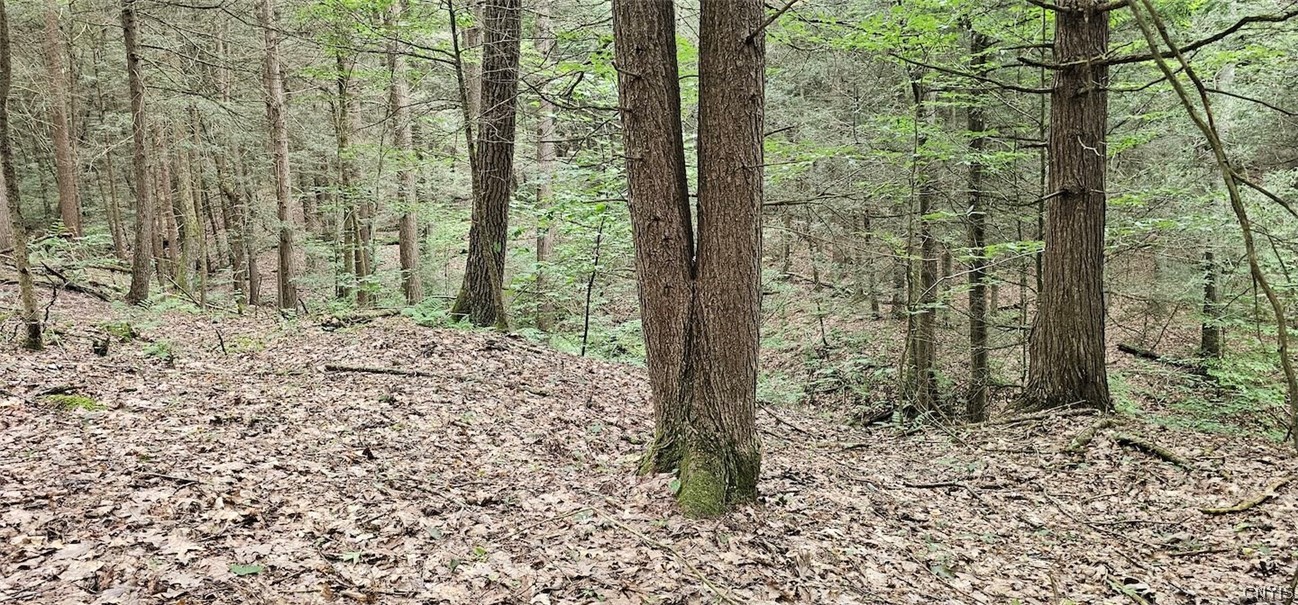 Union Hill Road Newark Valley, NY 13811 - Photo 14 of 25 Gallery Image 14
