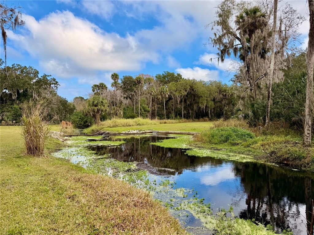 685 Eagle Watch Road Oak Hill, FL 32759 - Photo 12 of 21 a view of a lake with a yard