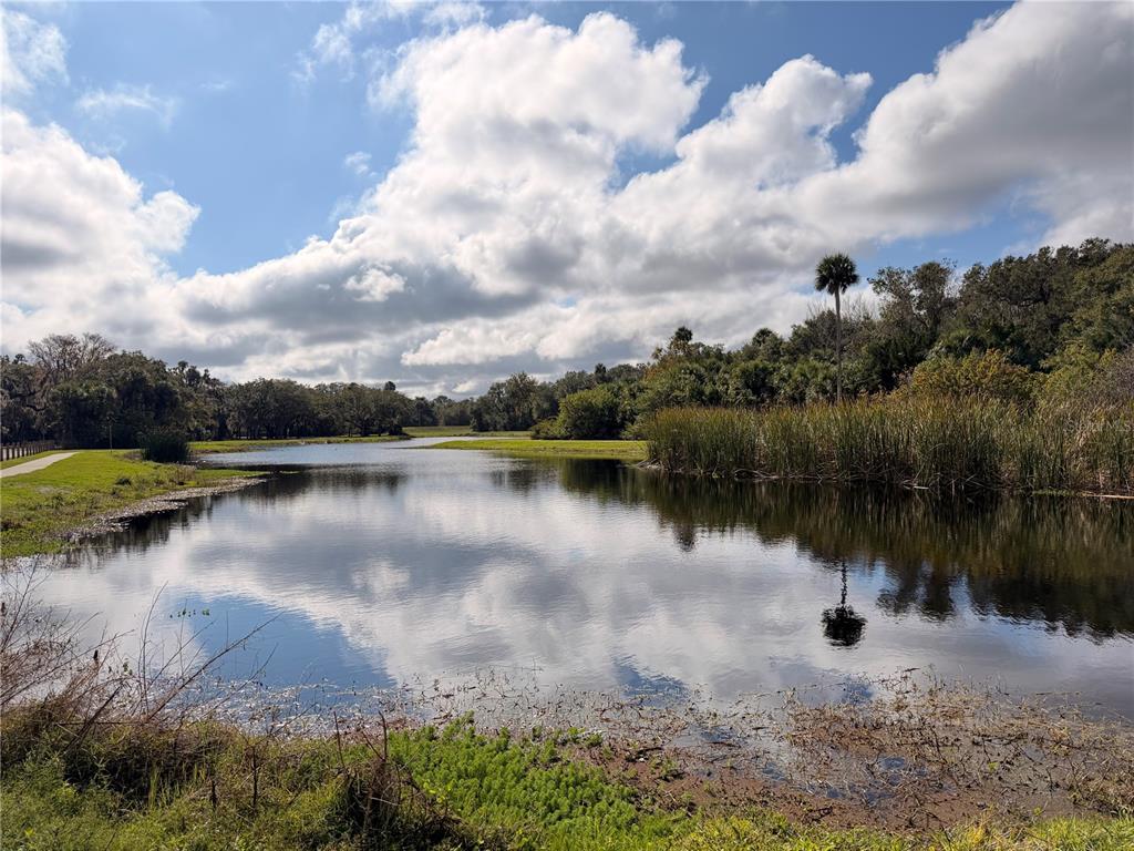 685 Eagle Watch Road Oak Hill, FL 32759 - Photo 19 of 21 a view of a lake with houses in the background