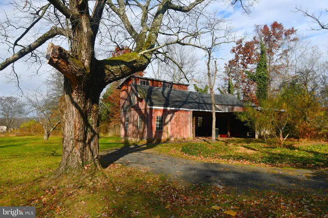 a view of yard with trees